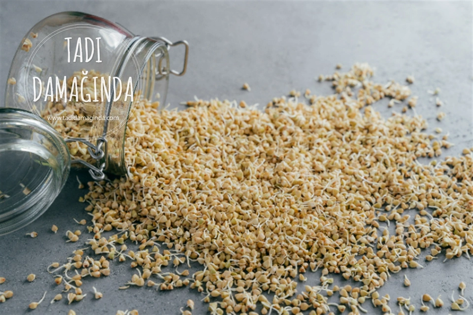 Filizlendirme İşlemi Nedir ve Neden Yapılır?