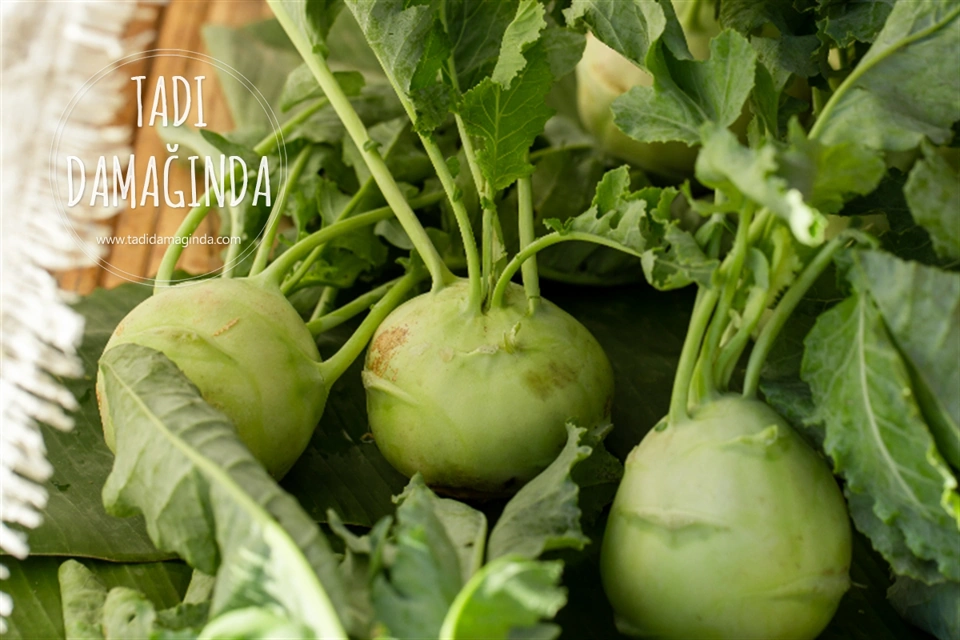 Alabaş Nedir? Faydaları Nelerdir?