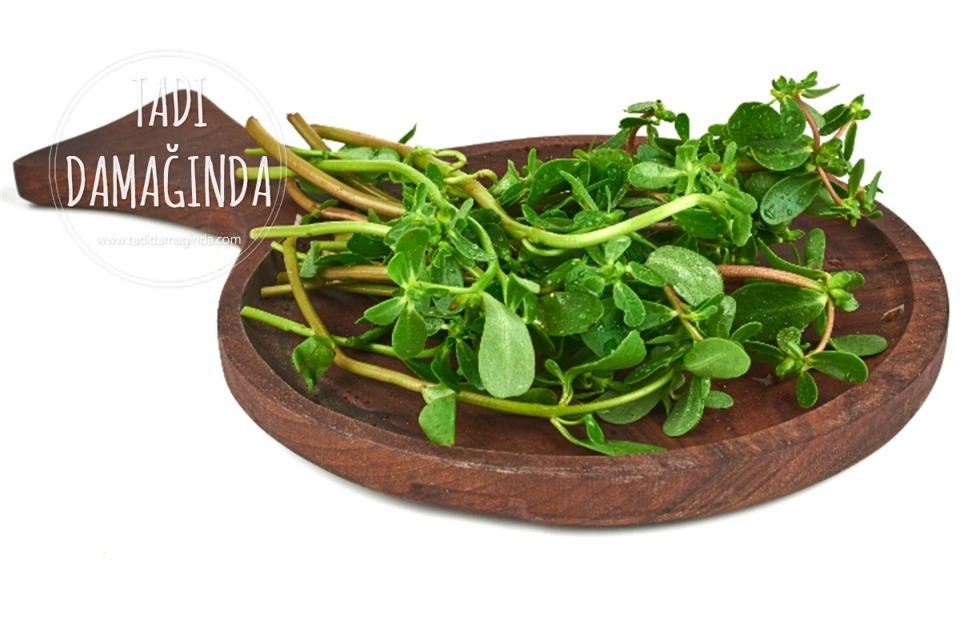 Yabani Semizotunun Farkı