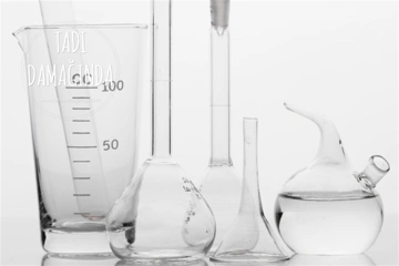 Limon Tuzunun (Sitrik Asit E330) Zararları