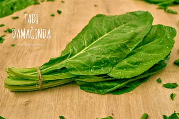 Pazının Faydaları