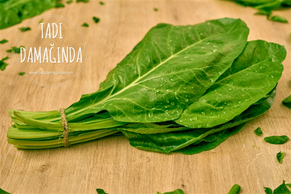 Pazının Faydaları