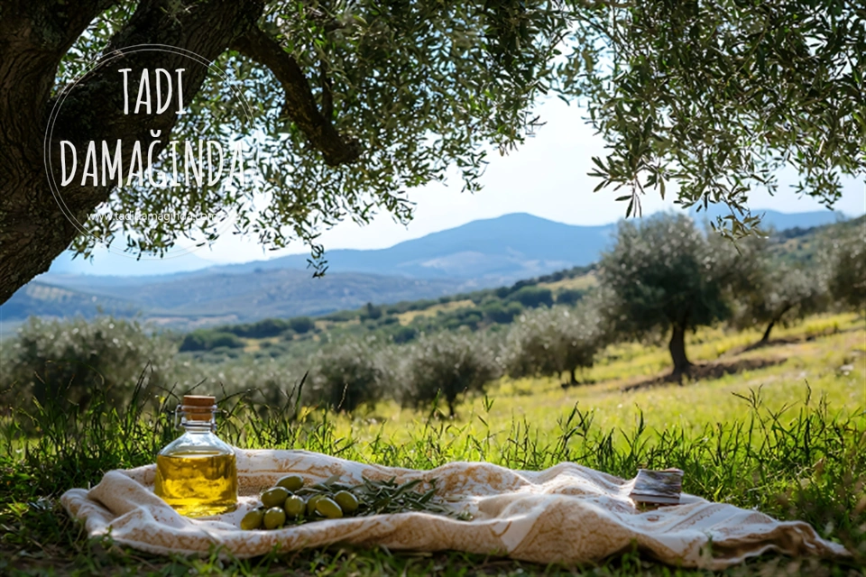 Zeytinyağı Seçerken Nelere Dikkat Etmeli?