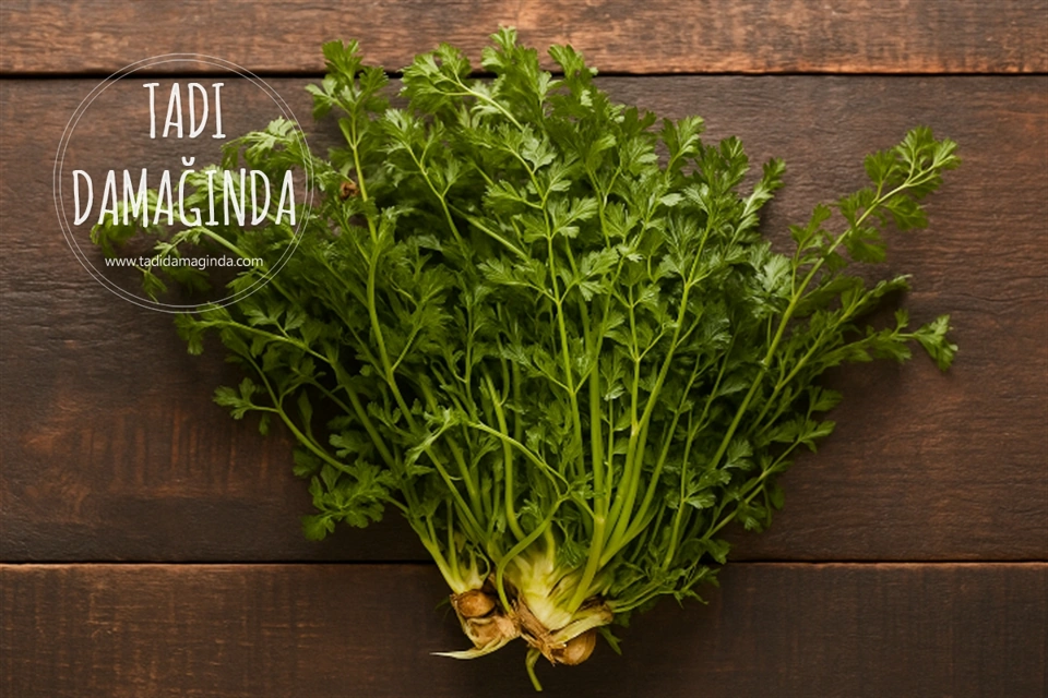 Doğanın Şifalı Bitkisi Kazayağı Otu