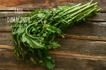 Ege Mutfağının Şifalı Bitkisi Karaciğer Dostu Turp Otu!