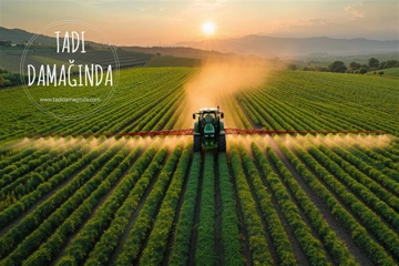 Pestisit Nedir? Pestisitlerin Sağlığımıza ve Doğaya Etkileri Nelerdir?
