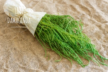 Denizden Gelen Şifa: Deniz Börülcesinin Faydaları Nelerdir?