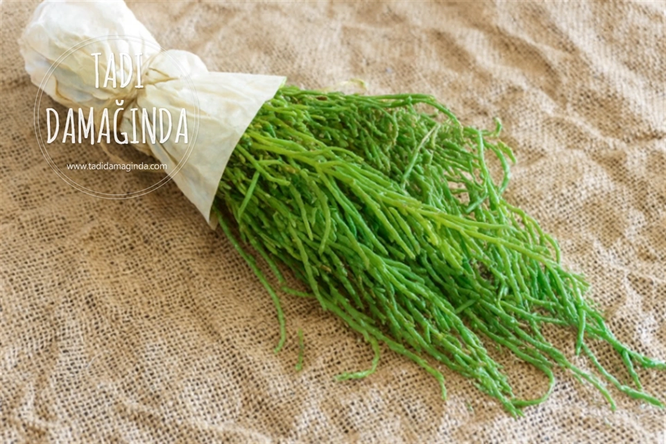 Denizden Gelen Şifa: Deniz Börülcesinin Faydaları Nelerdir?