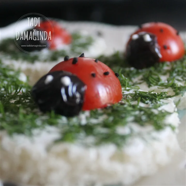 Uğur Böceği Kanepe