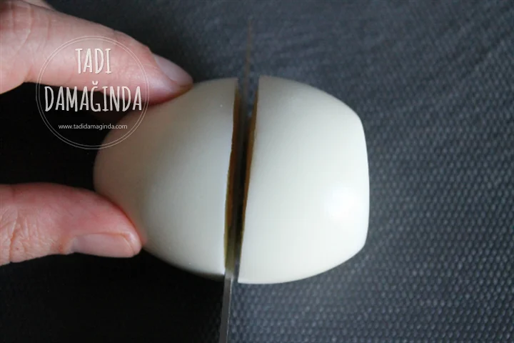 Yumurtadan Civcivler