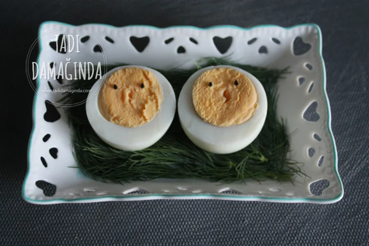 Yumurtadan Civcivler