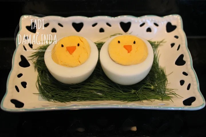 Yumurtadan Civcivler