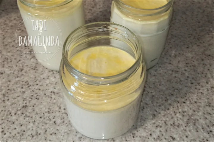 Ev Yapımı Yoğurt