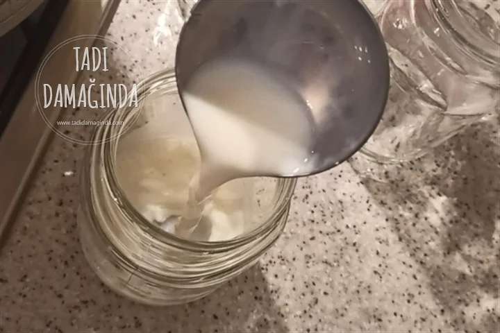 Ev Yapımı Yoğurt