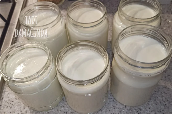 Ev Yapımı Yoğurt