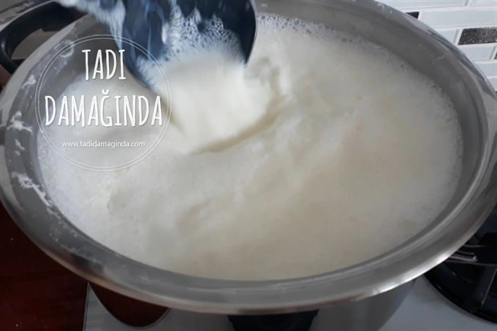 Yoğurt Nasıl Mayalanır