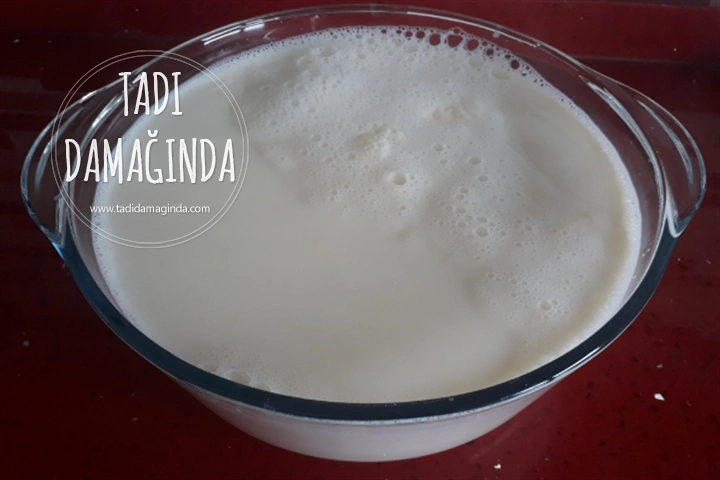 Yoğurt Nasıl Mayalanır