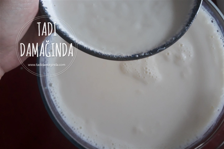 Yoğurt Nasıl Mayalanır