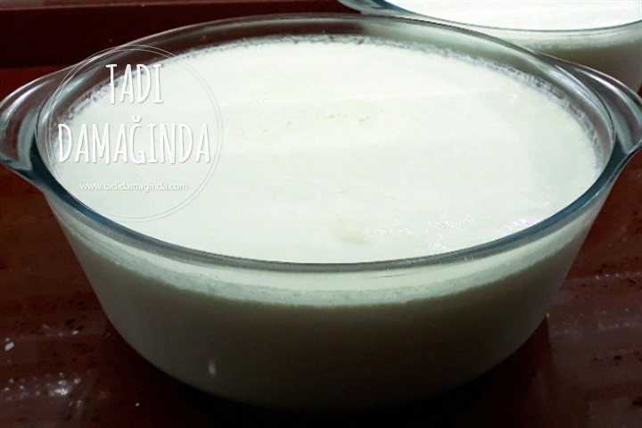 Yoğurt Nasıl Mayalanır