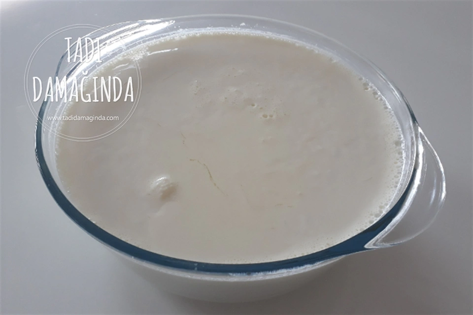 Fırında Yoğurt Mayalama
