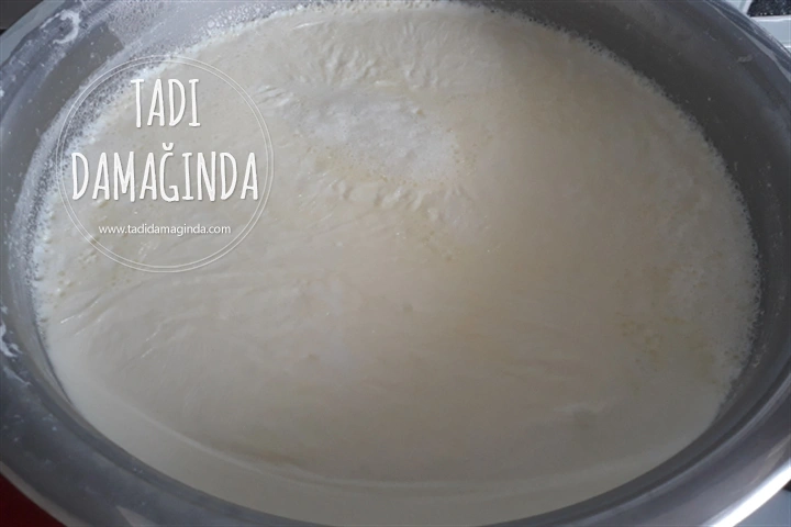 Fırında Yoğurt Mayalama