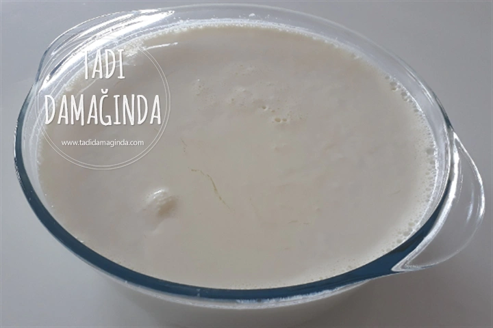 Fırında Yoğurt Mayalama