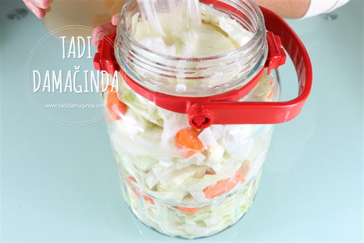 Karışık Lahana Turşusu