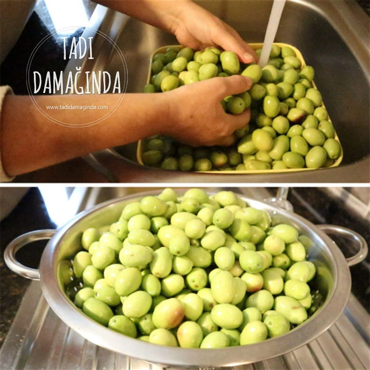 Çizik Yeşil Zeytin Yapımı