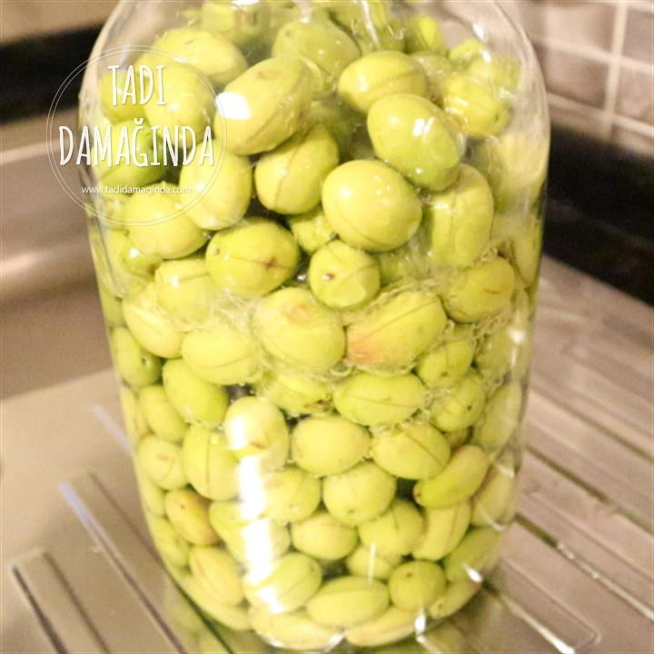 Çizik Yeşil Zeytin Yapımı