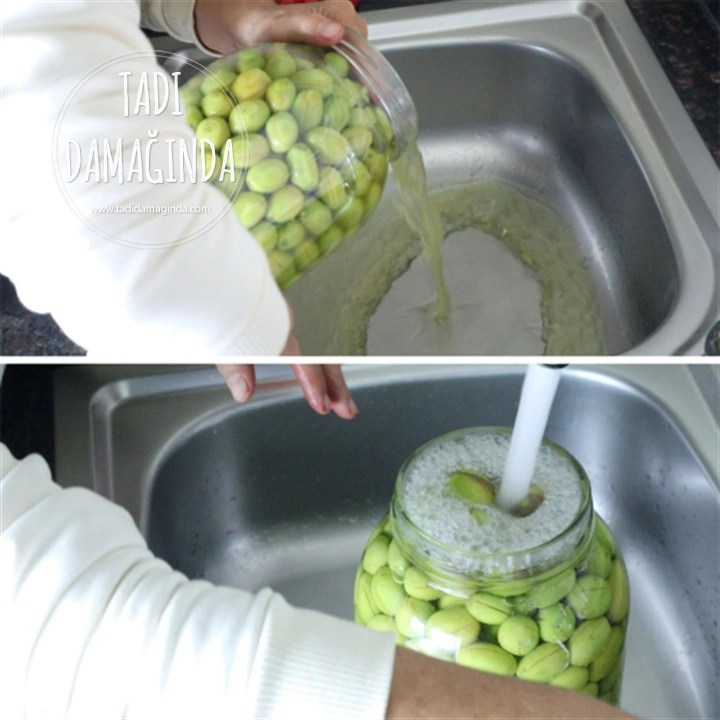 Çizik Yeşil Zeytin Yapımı