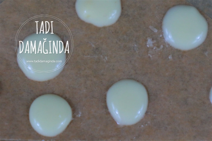 Sevimli Ren Geyikleri