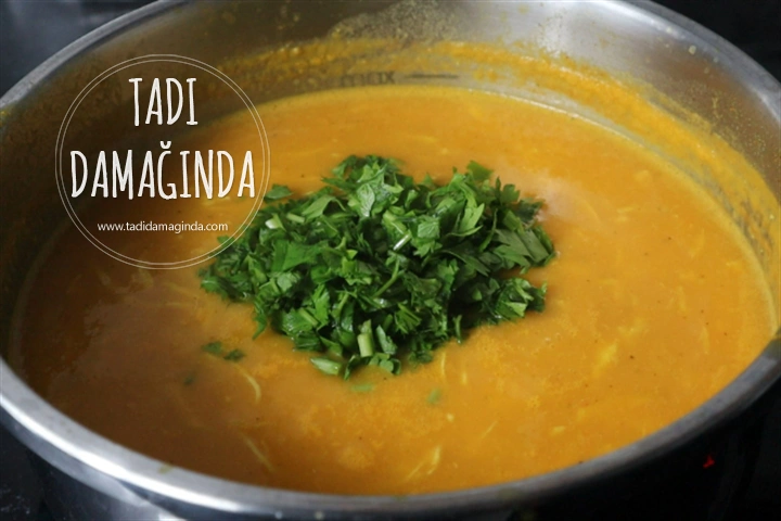 Sebzeli Tavuk Çorbası