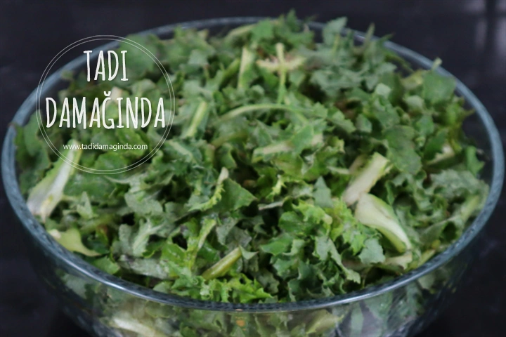 Radika (Hindiba) Mezesi (Salatası)