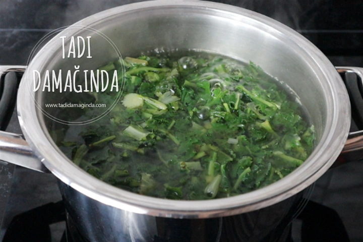 Radika (Hindiba) Mezesi (Salatası)