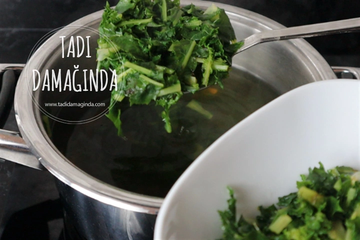 Radika (Hindiba) Mezesi (Salatası)