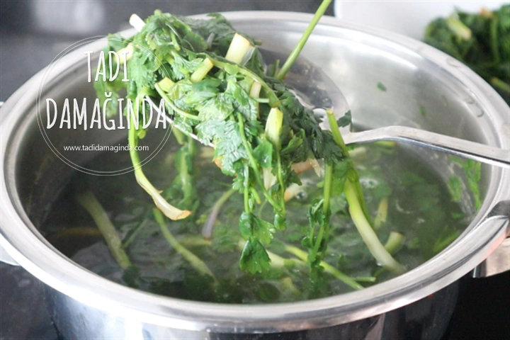 Kazayağı Otu Mezesi (Salatası)