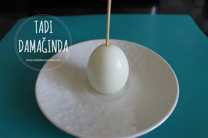 Yumurtadan Kardan Adam