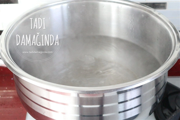 Kavanozda Deniz Börülcesi