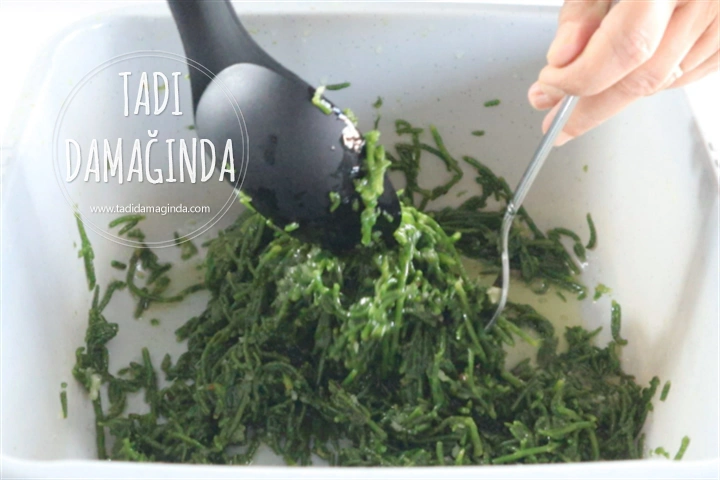 Kavanozda Deniz Börülcesi