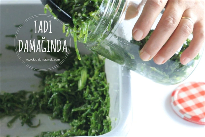 Kavanozda Deniz Börülcesi