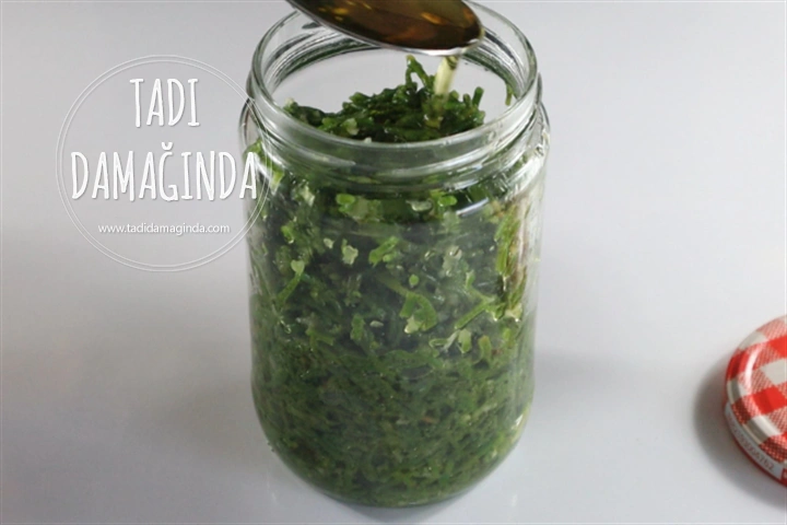 Kavanozda Deniz Börülcesi