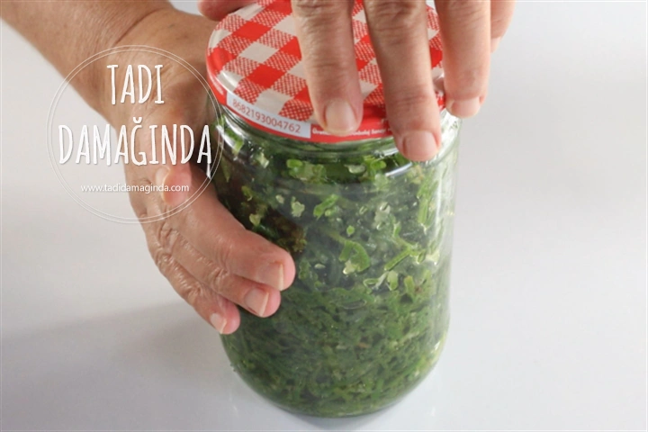 Kavanozda Deniz Börülcesi