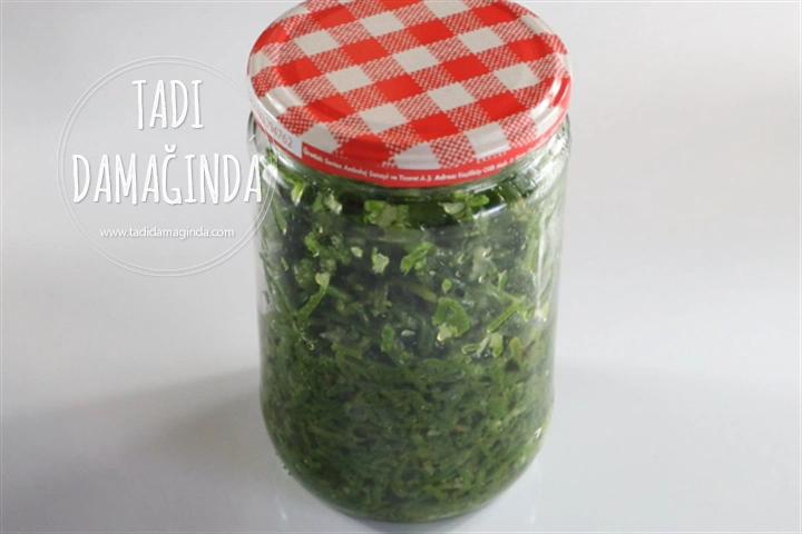 Kavanozda Deniz Börülcesi