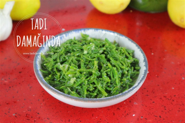 Kavanozda Deniz Börülcesi