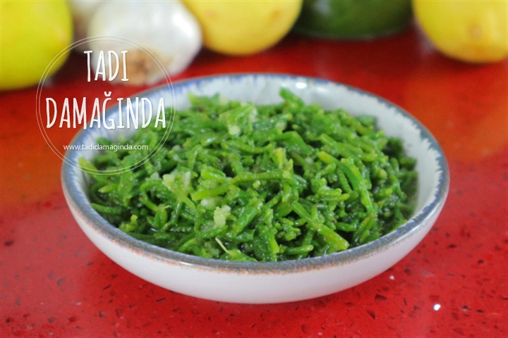 Kavanozda Deniz Börülcesi