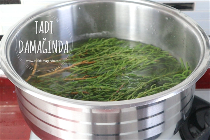 Kavanozda Deniz Börülcesi