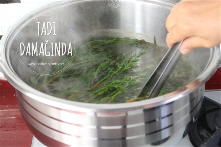 Kavanozda Deniz Börülcesi