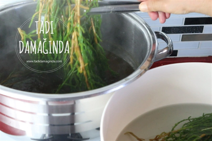 Kavanozda Deniz Börülcesi