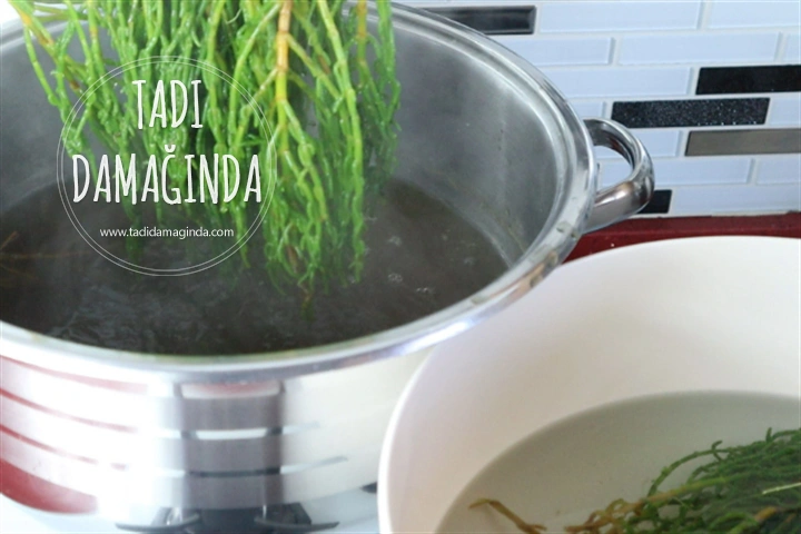 Kavanozda Deniz Börülcesi