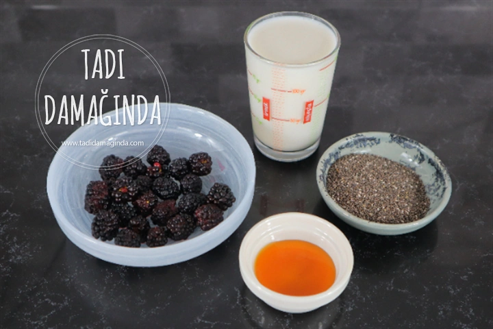 Böğürtlenli Chia Puding (Rafine Şekersiz)